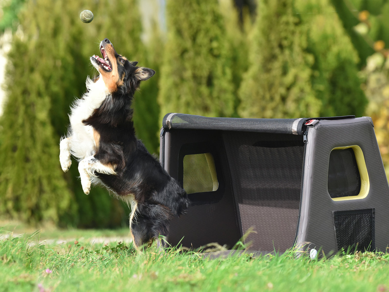 3-tami-dogbox_faltbare_aufblasbare_tragbare_Hundebox_airbagfunktion_26177-400.000.001_11