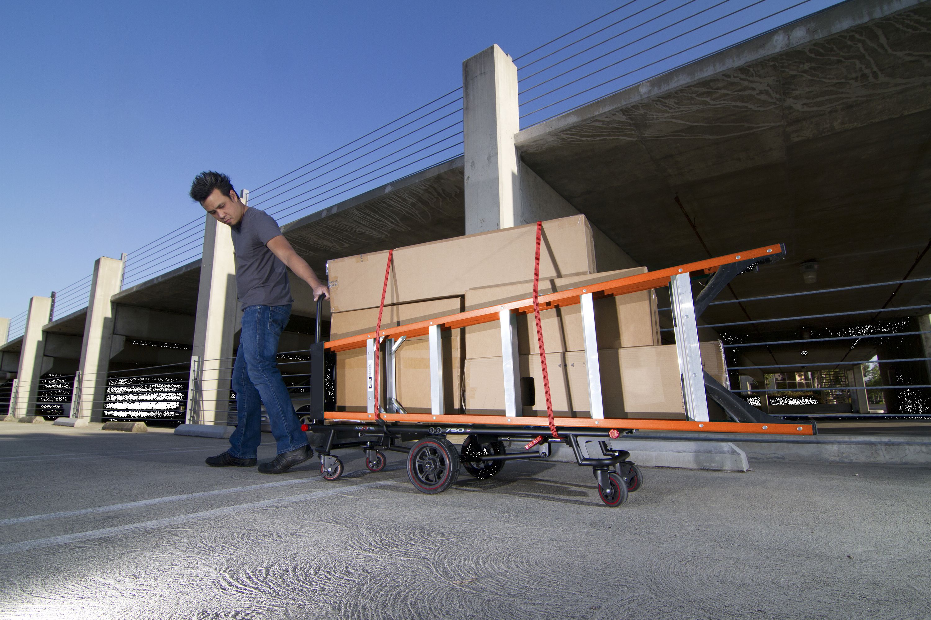 Zurrgurte für Transportwagen 2er Pack