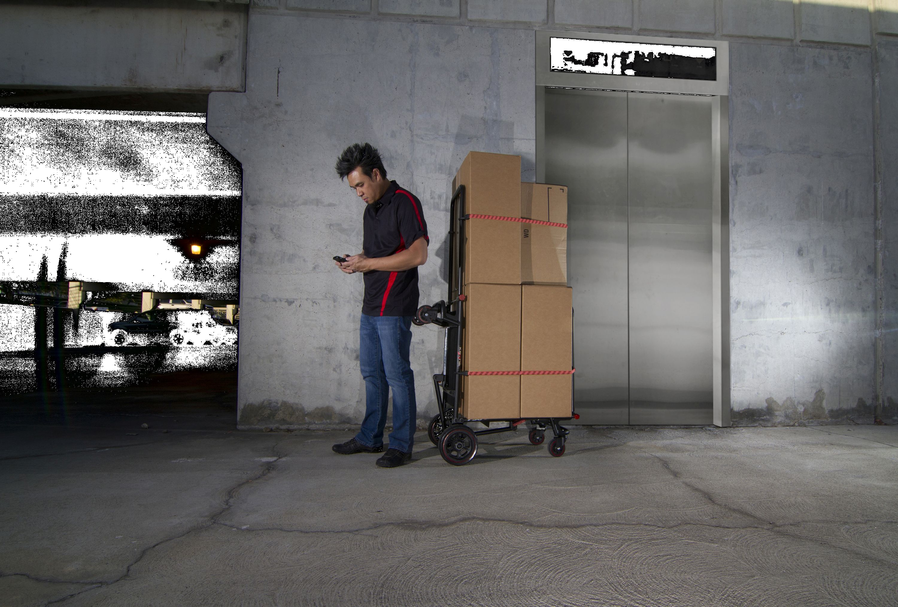 Zurrgurte für Transportwagen 2er Pack